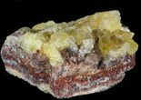 Lustrous, Yellow Cubic Fluorite Crystals - Morocco #44894-1